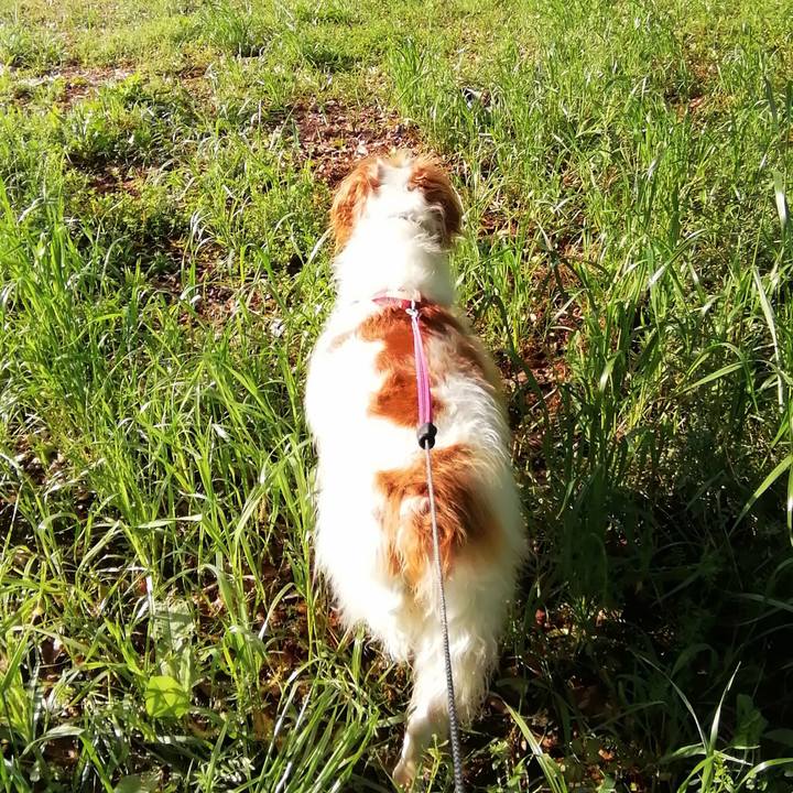 49997509 2c91 4850 8413 1bf492f69911 1618791152250