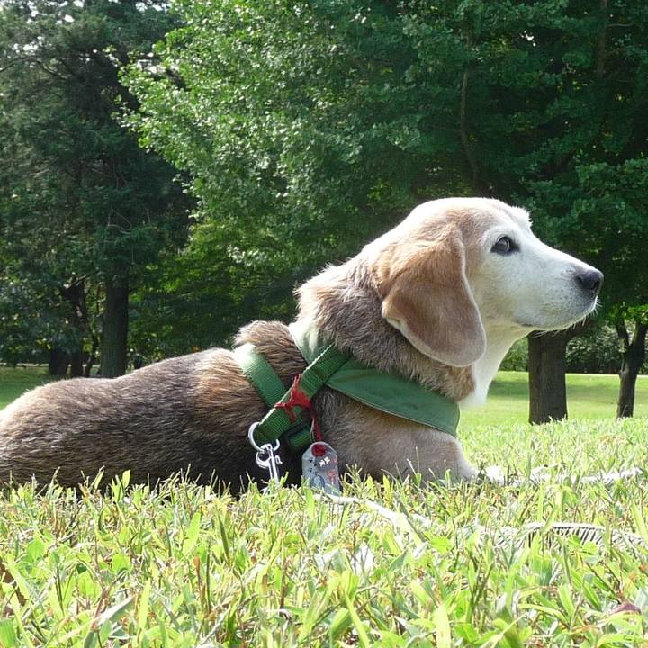 49997f38 2324 4ee2 bda2 0068118cf03e 1702691862630