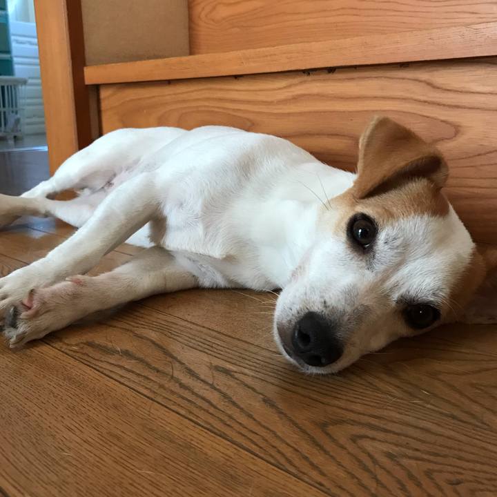 49999ab4 57b4 4f34 ab49 1836c6d2be06 1567304616973