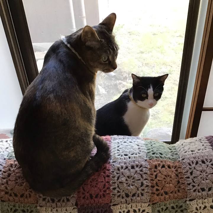 4999aea8 42a9 4390 96d8 39d0f027830b 1647249825920