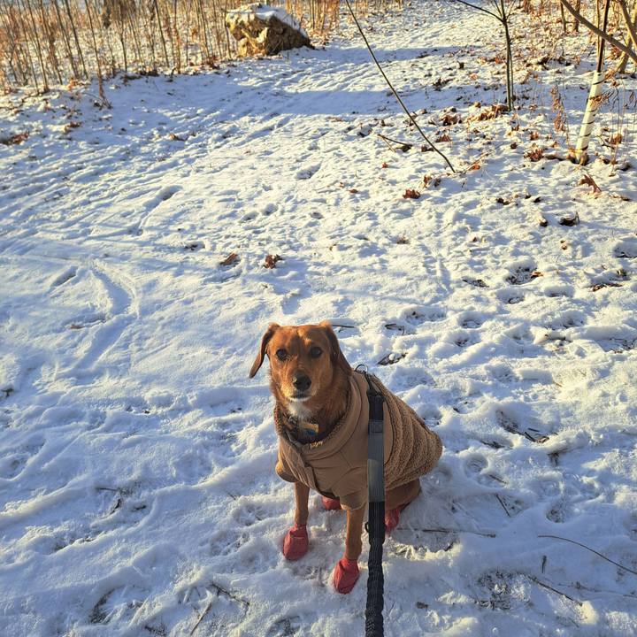 4999c849 6580 4dd1 8ba6 37b6be73636d 1765204016105