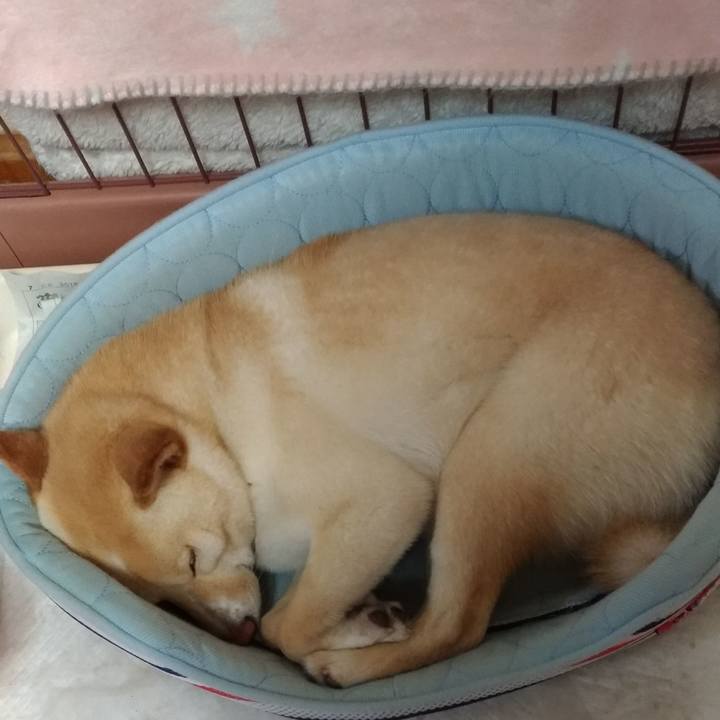 4999e034 f2aa 41a6 8b0b 0728a3a7e973 1555678647845