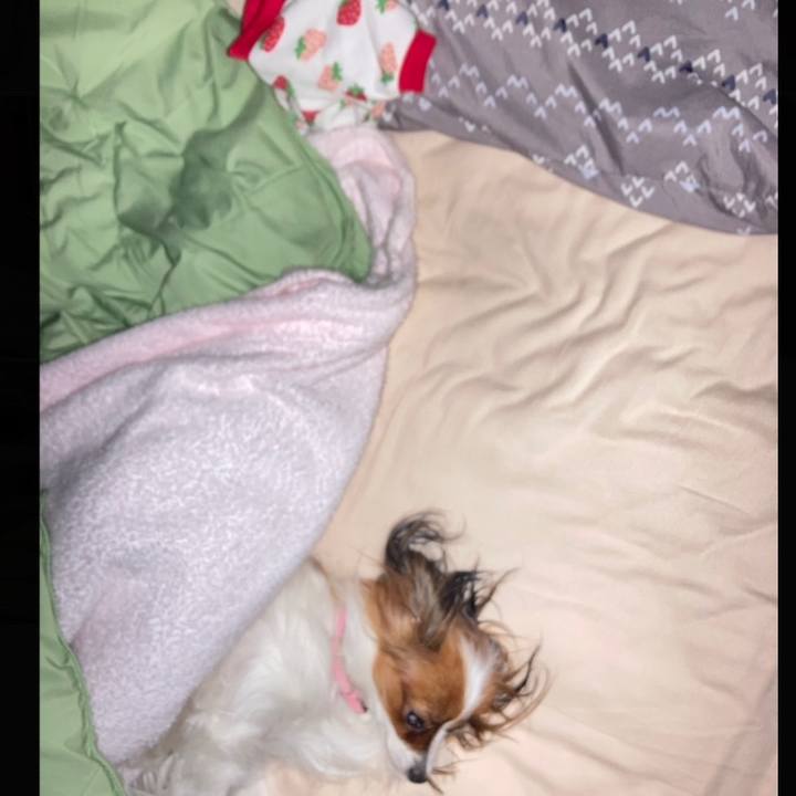 499a1dd7 603d 4cf4 8a14 5495219b0cc5 1638483195747