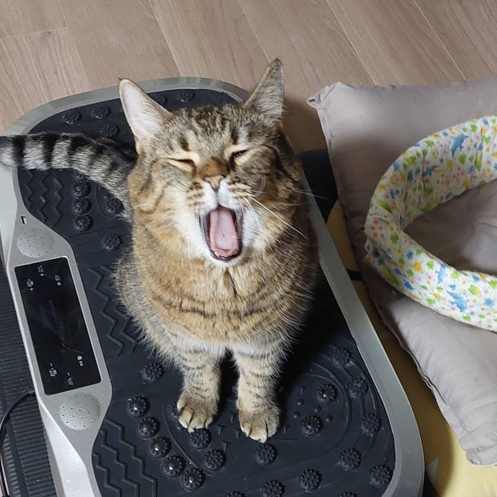 499a2136 8321 4c84 a42b b26443eb52f7 1637033231890