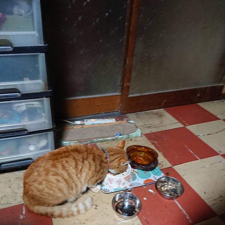 499a313e d99a 44dc a5fd 484a5dc3d0d2 1574110704902