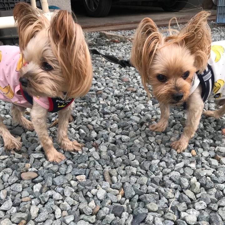 499a5fd8 6108 43e8 86a3 b972ffaf5e9b 1626687402510