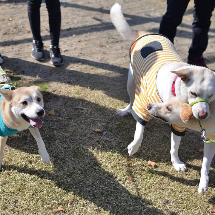 499a7279 b23b 4246 b52a 2d6b1ce90883 1542557252618