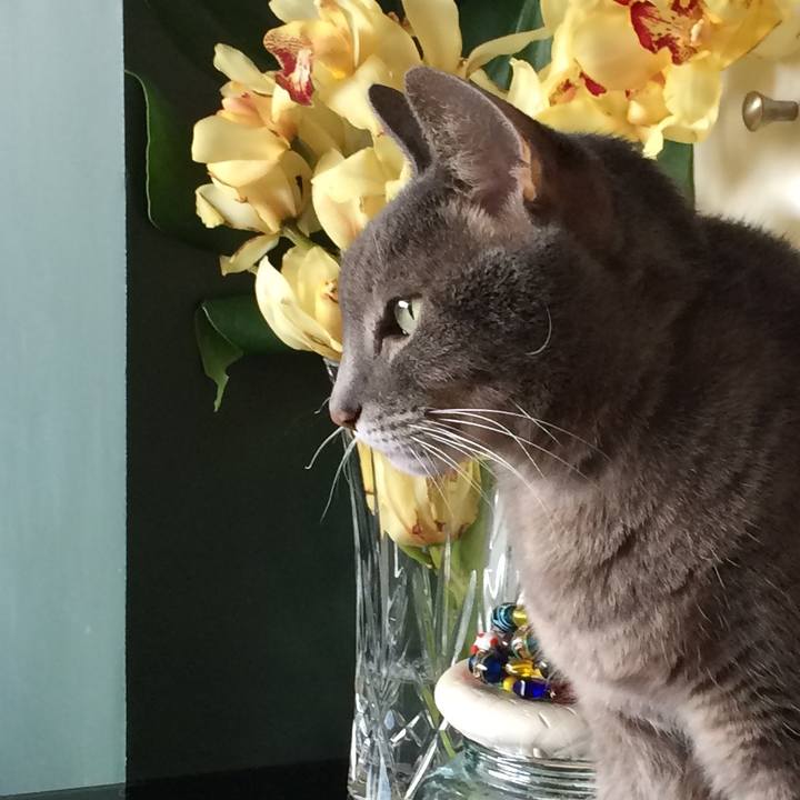 499afd46 12e2 4ad9 b9af f6831da48b1a 1526839253761