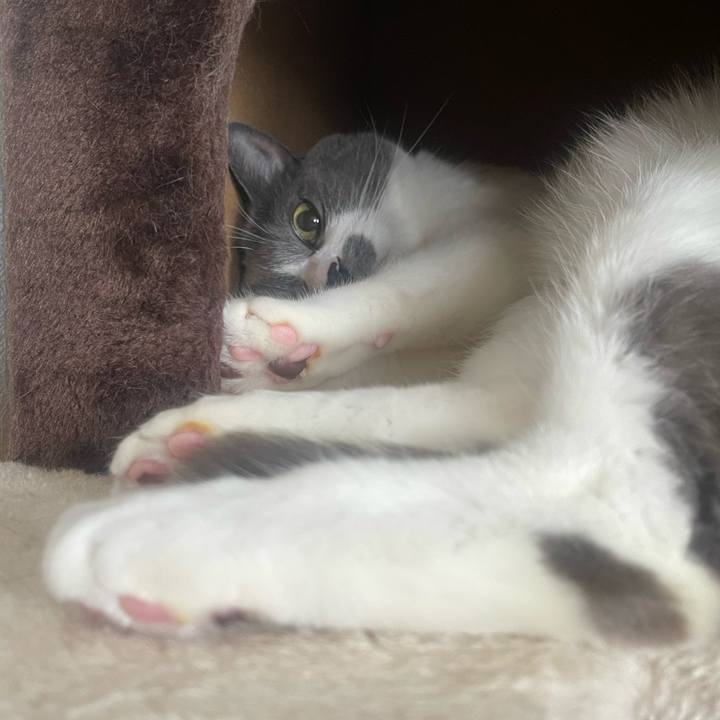 499b05cf 7ed0 4fd4 b7cb d88ed591a72d 1720568423354