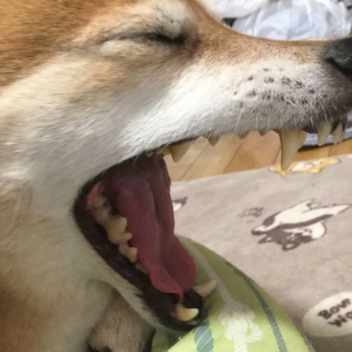 499c2e48 82cc 4aca 96e6 2e76a659ad46 1609651815356