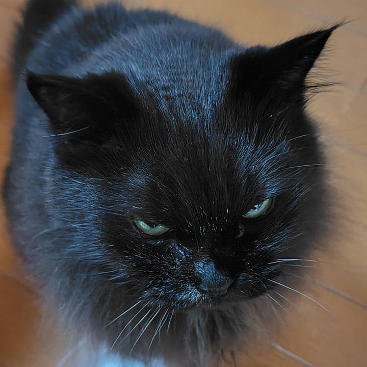 499c535d 2429 41fb 9194 5a1639be6f59 1730513476583