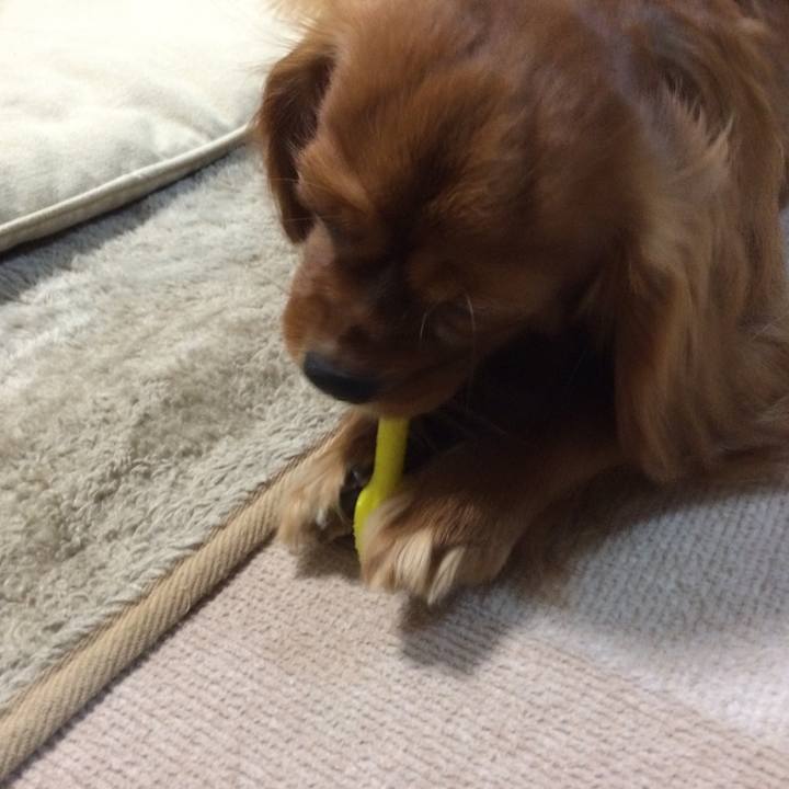 499c56a4 b55d 480b 9578 8bfd849952d3 1513721236724