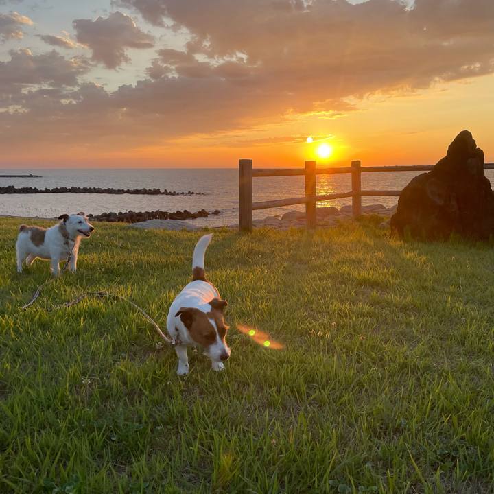 499c621d f060 460c 8df5 7dfdfd182f22 1752143164527