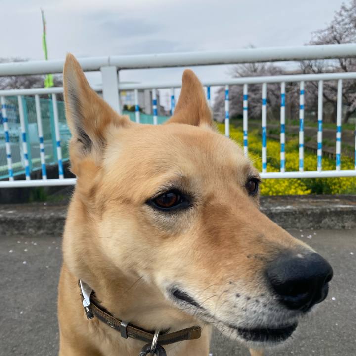 499c7116 dd46 4327 b77e b69d88523540 1775014502869