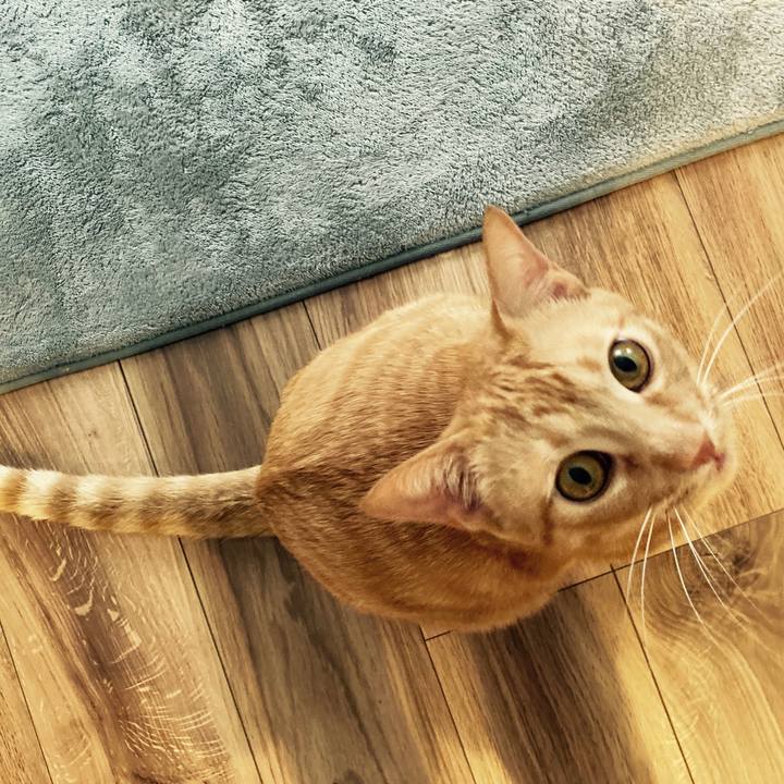 499c712e 7e19 4b40 b58b be93108ae959 1591698765919