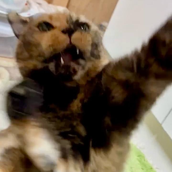 499caeac 76d4 49f5 852c ca099721aab9 1756156495662