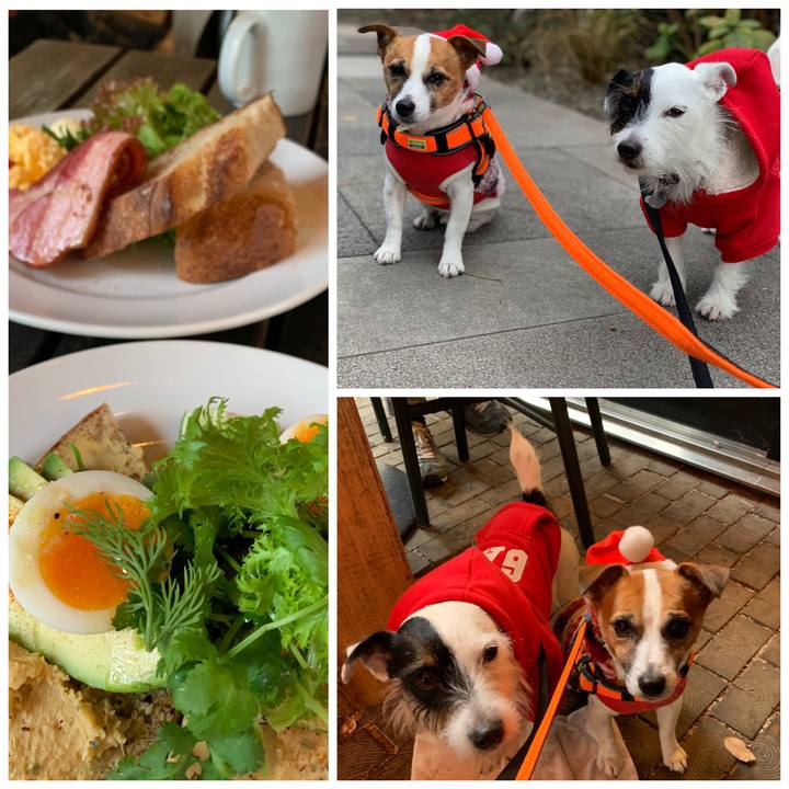 499cba87 71d3 47b8 82e2 8e085cfe2ee9 1545616172004