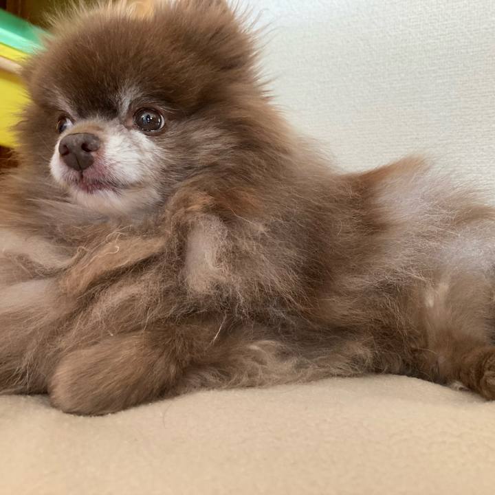 499cd151 7120 4f1e aec5 c7c00096018a 1703898946125