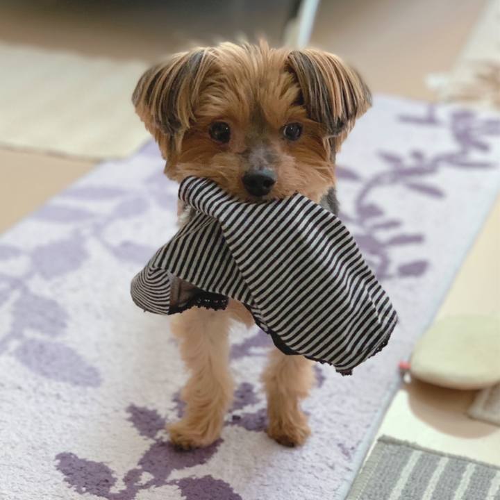 499d1787 aa34 459f a554 a8e144499c78 1603660838520