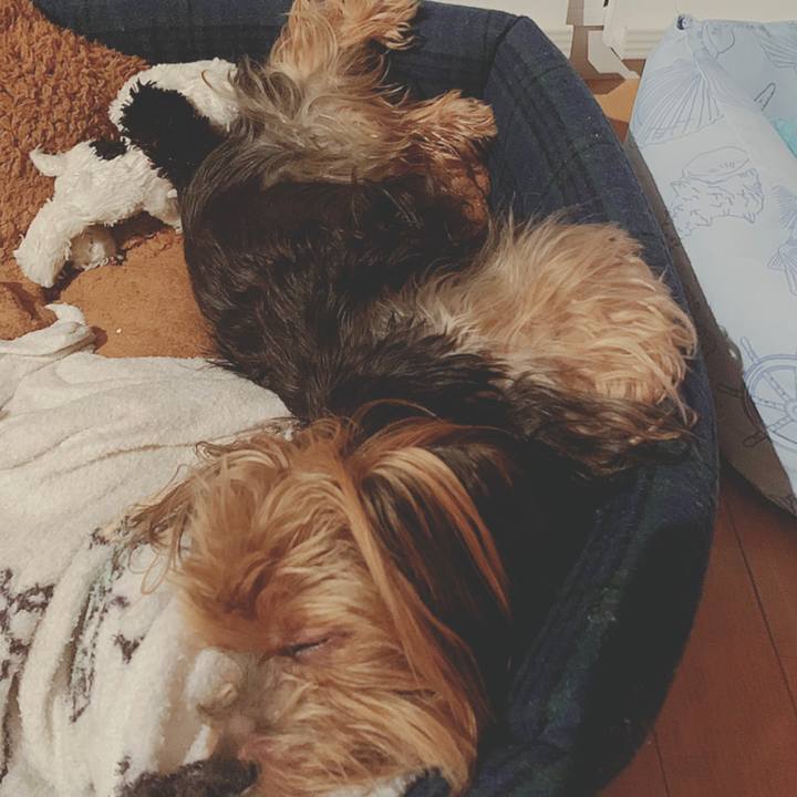 499d1d4e 2b31 4c3f b7eb 2fd238cbb011 1564232755103