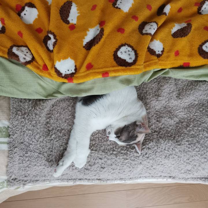 499d23a3 6307 44ca aa1e 37777c9d2fda 1642996085386