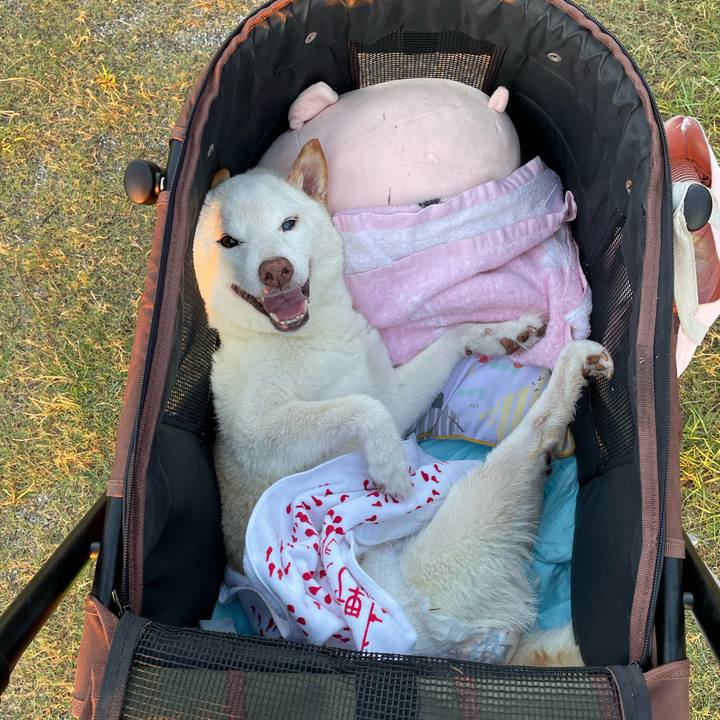 499d3733 037a 45a2 8898 a0ae20a0c40e 1665785498550