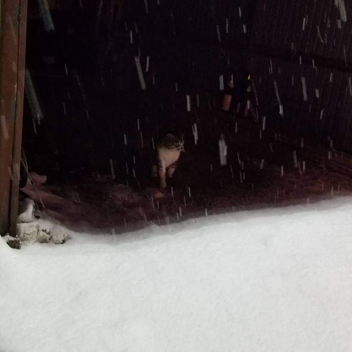 499d4ce2 2a6e 467c b248 ce71fd03d074 1646483478830