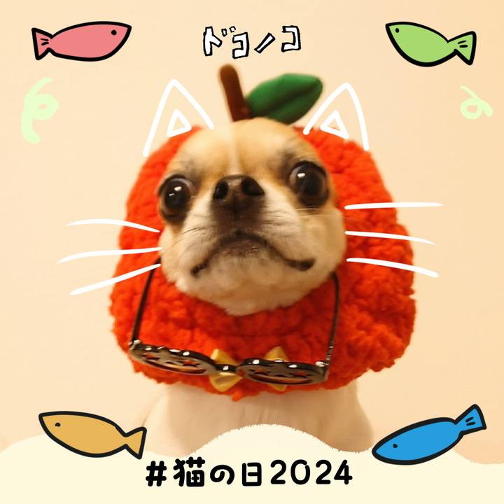 499d5210 1dfd 4a4e 92c7 1a0dbd0b6507 1708574932757