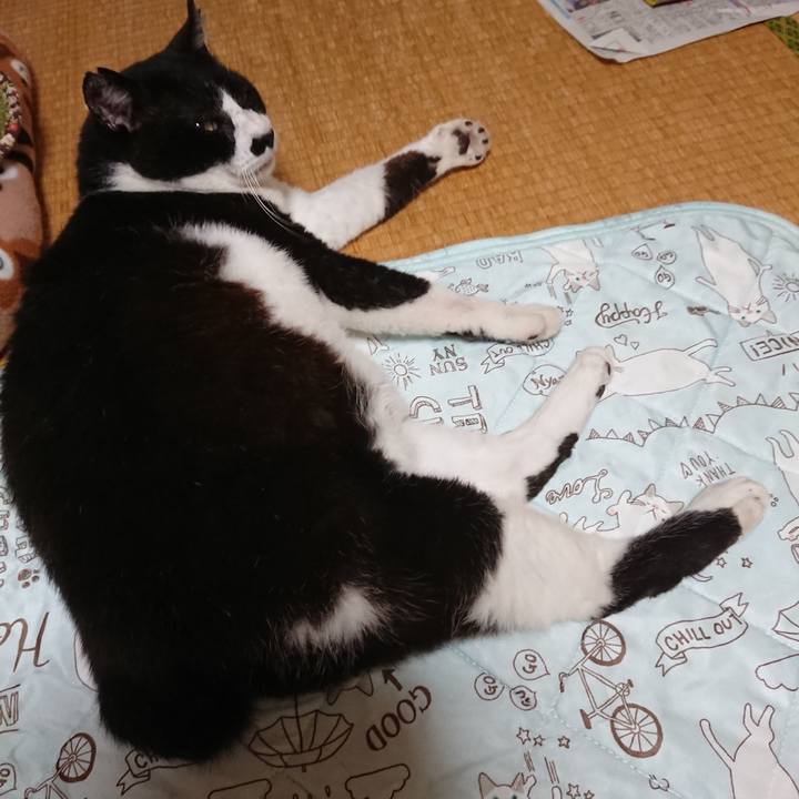 499d671f e33e 49f9 86c8 a8758f21b4f9 1594037848487