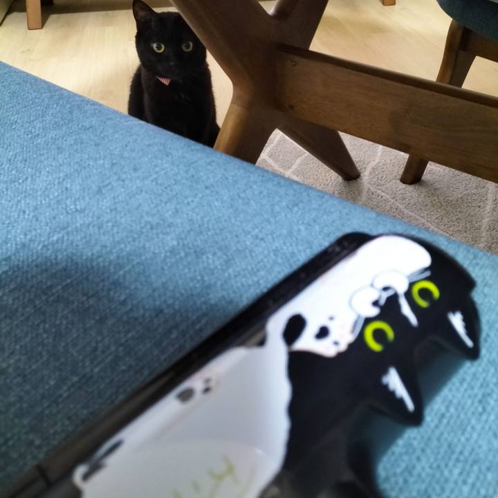 499d74fc a62c 46cb b0f7 b7fed11e3fe3 1704799950293