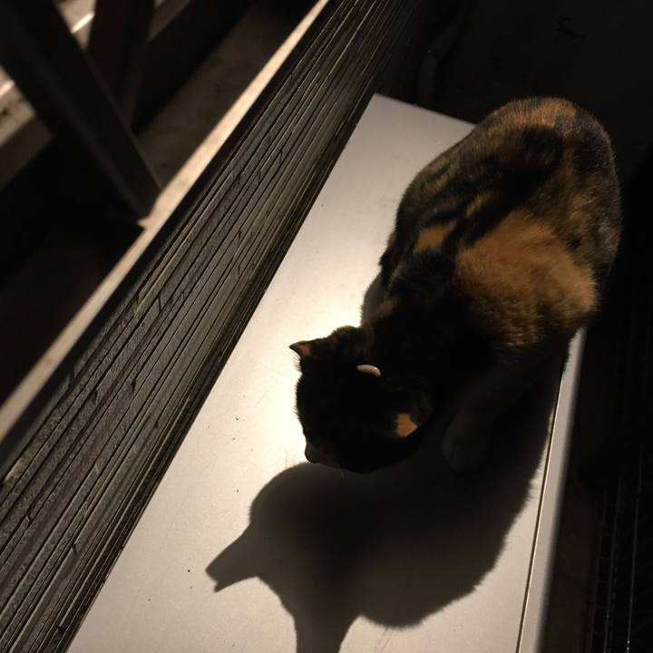 499d7c7f 7226 4894 9728 106a041330df 1508501803256