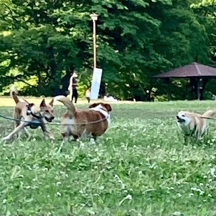 499d7c7f a40a 4e58 9ebb 05d0b1b704e2 1652055018300