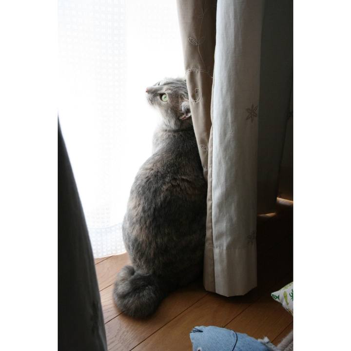 499dddf2 50b2 4d52 b89d 2cc19c2ba678 1563696478384