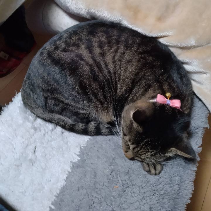 499e129d 9cf8 4218 a8f0 73edc765697e 1667168803575