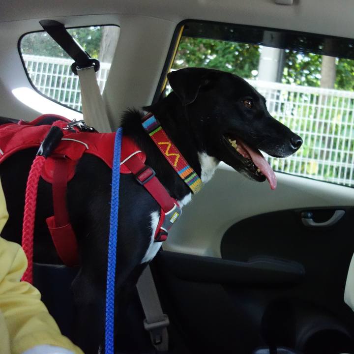 499e1db6 bb9c 4d68 85cf 269605a83fdb 1587711689274