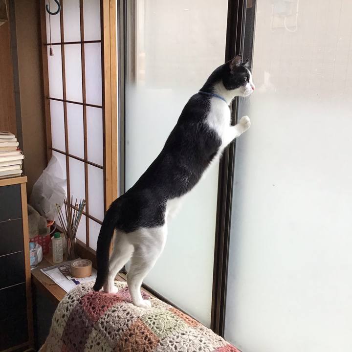 499e3782 9525 45bc 844d 48cd5931b58d 1715484500282