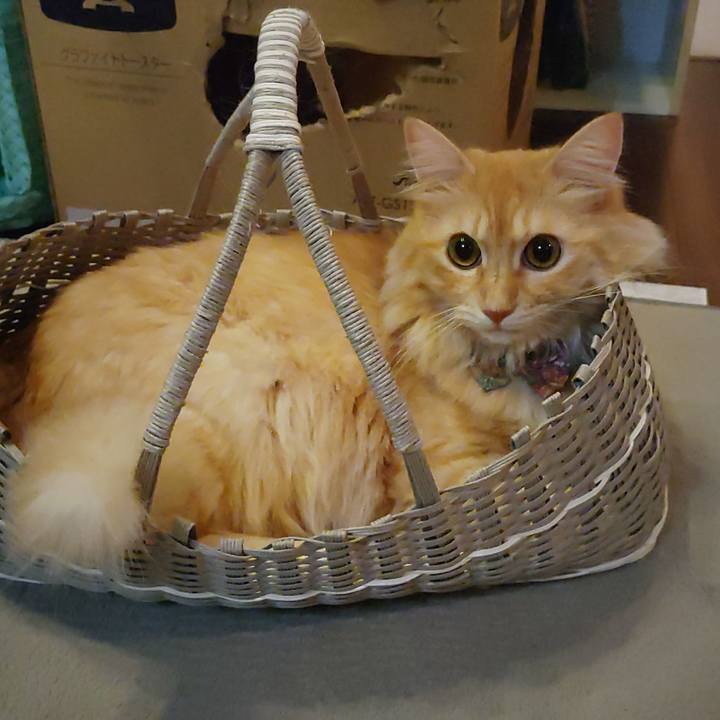 499e4800 1b9d 4c5d 9ac3 926370aa619f 1660137068758