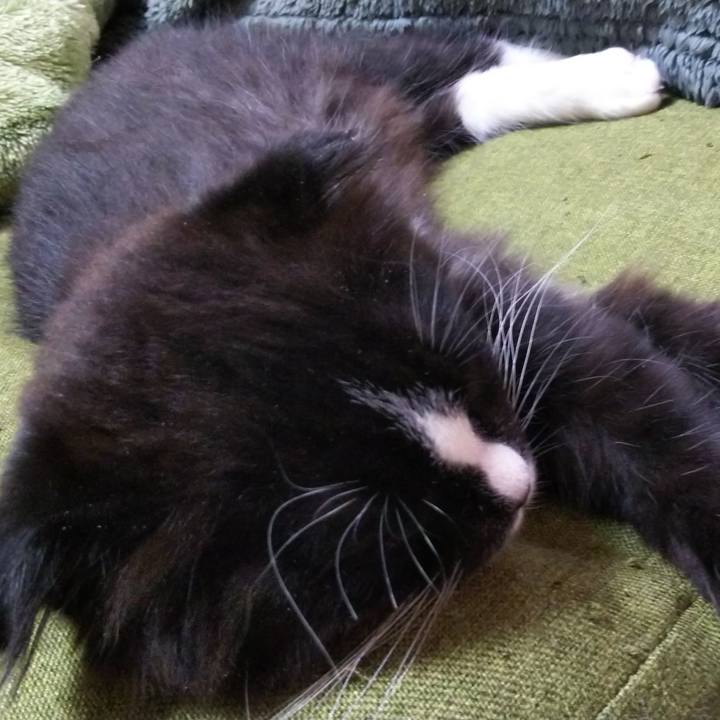 499e4e44 7fe1 4fdd 87a3 fbc2ab1bc966 1640501071535