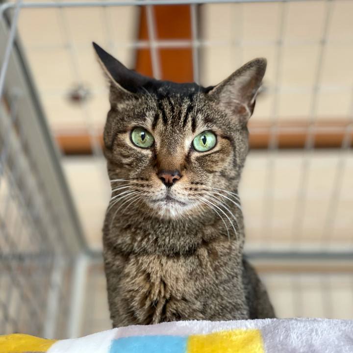 499e630f 0238 4c79 b352 c28635e32cdb 1620353409194