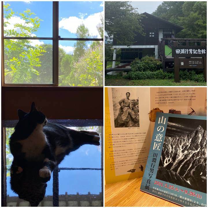 499e6925 210a 4a2c 8463 7e046bac6a01 1628516154474