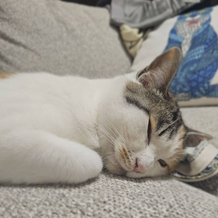 499e9432 5051 4a69 bc6d 9d43daf668e3 1772980688502