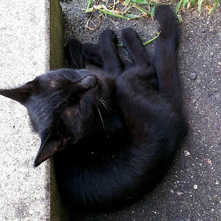 499ecb33 9c2a 4350 a0dc b1be8418ef3e 1535534069892