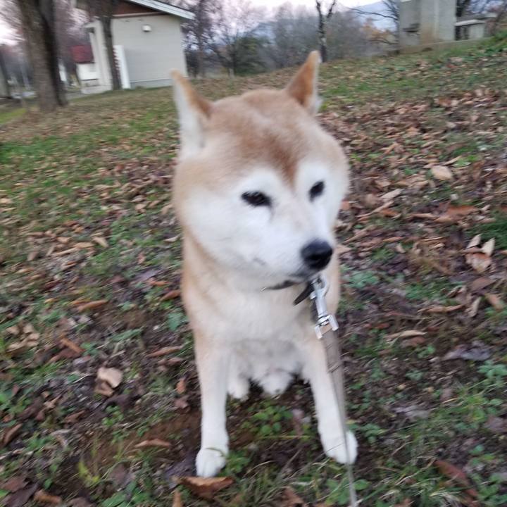 499ed7e9 6e8e 423c ba42 40618a27c9f0 1700638821106