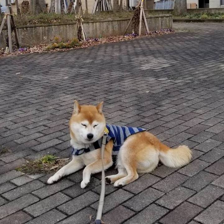 499eea7d fb8b 4556 a4e0 43bee620a00d 1578893926364