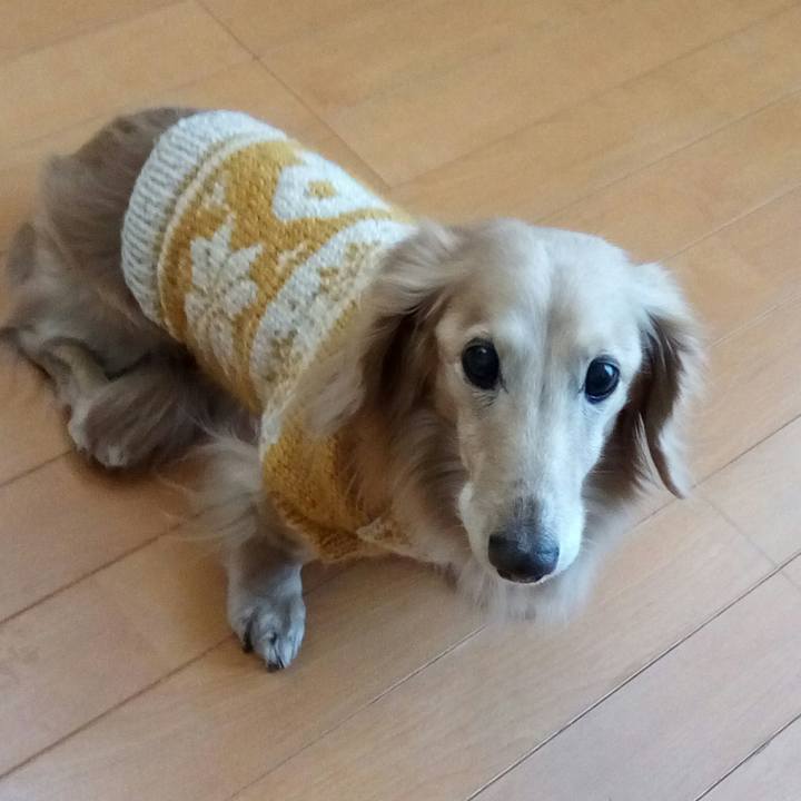 499ef326 62f9 4921 ae32 83c94cff10aa 1545983136076