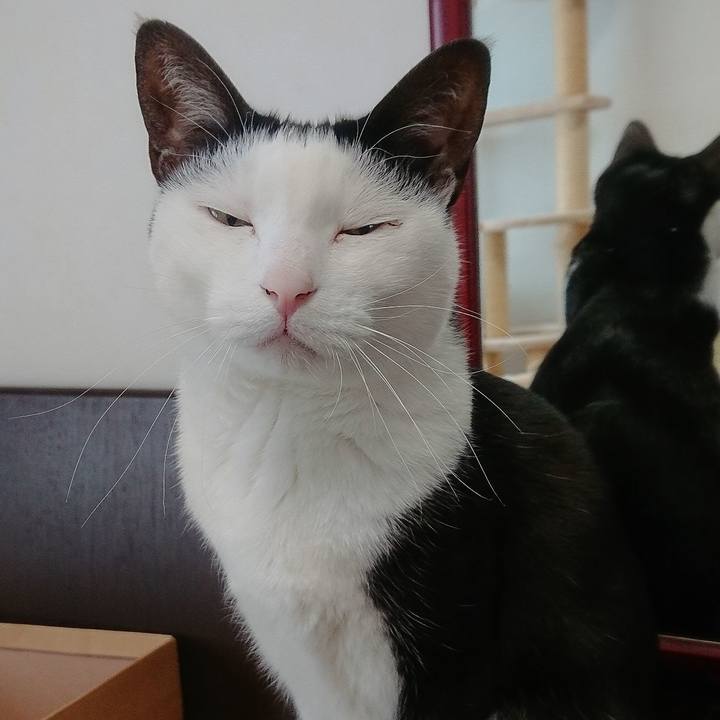 499f25c0 bf8e 4de2 bdde 02f880509556 1551057640758