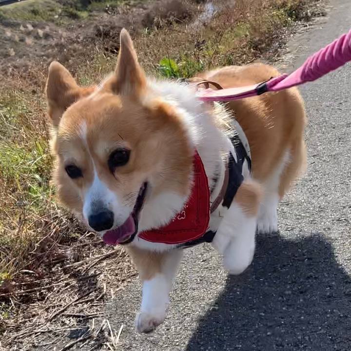 499f5ff2 6b69 4d87 aefd 002d3260b049 1640920684942