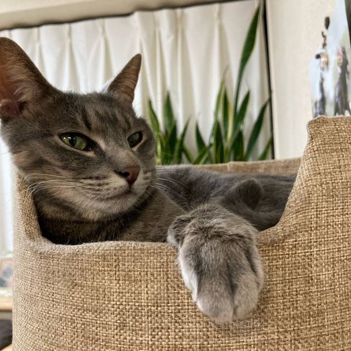 499fa0ea f911 4a8b 9f41 64eb3dc1a791 1626354382810