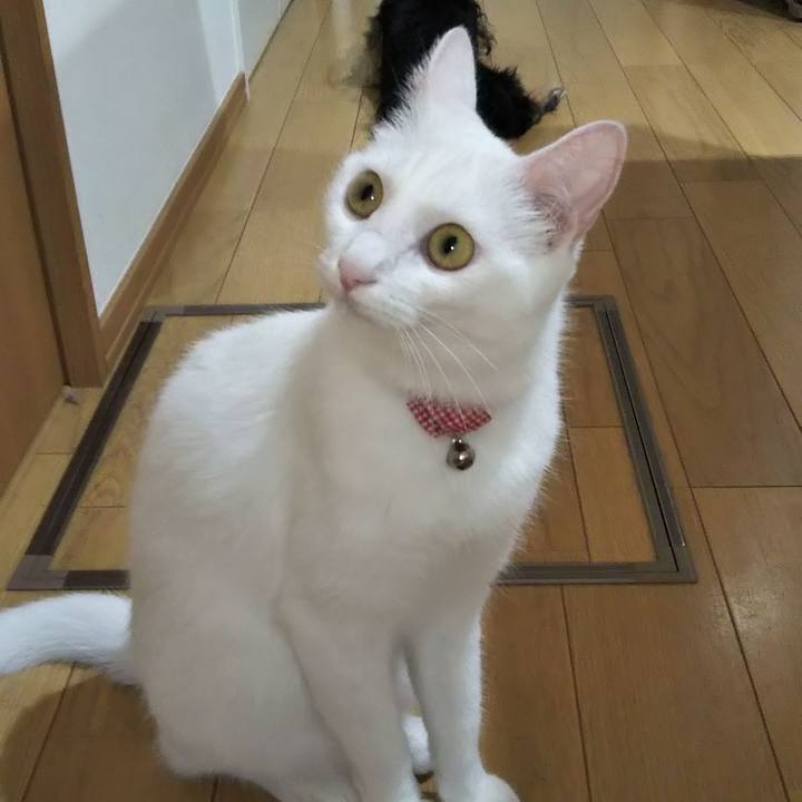 499fa649 5c10 4e43 b45e 1e20e7a580eb 1624945114430