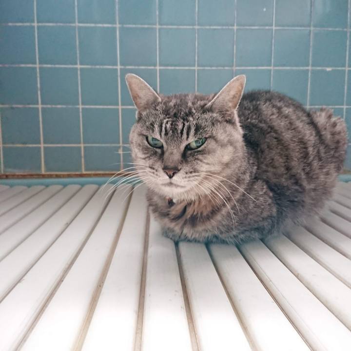 499fc2a0 2d8a 455b 94b9 a602f5d1eb61 1604262188898